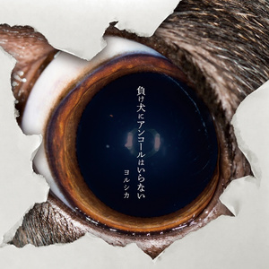 日韩日韩女性交做爱视频免费看
