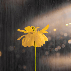 日韩日韩女性交做爱视频免费看
